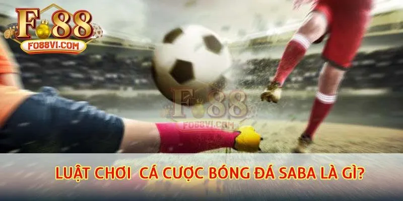 Luật chơi và hình thức cá cược bóng đá saba là gì?