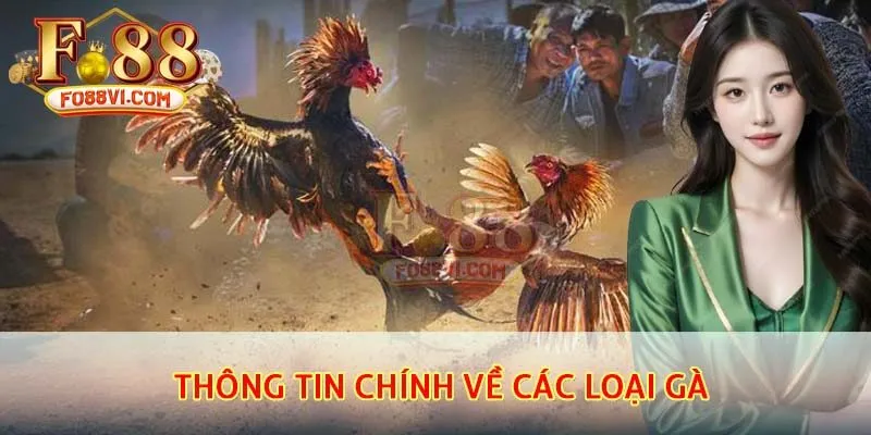 Thông tin chính về các loại gà