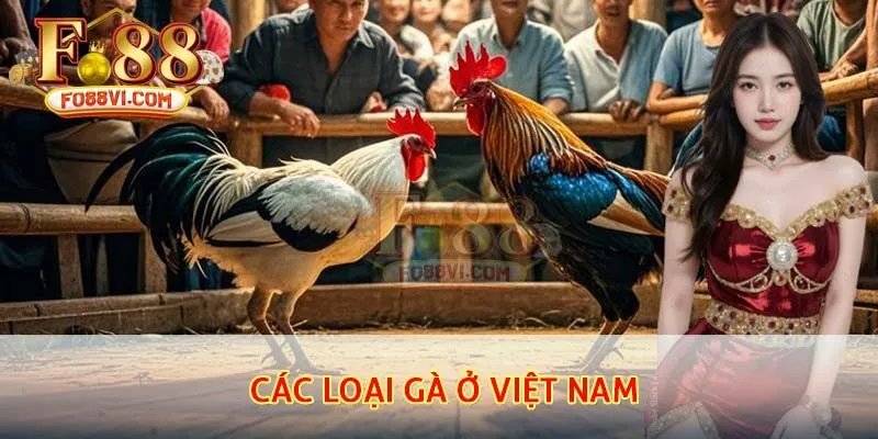 các loại gà ở Việt Nam