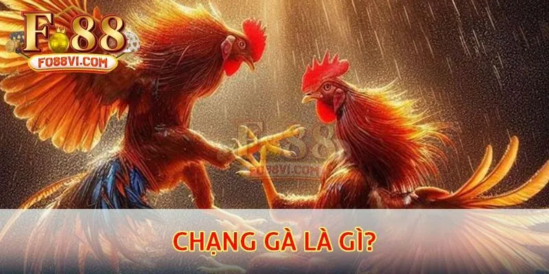 Khái niệm chi tiết về chạng gà là gì