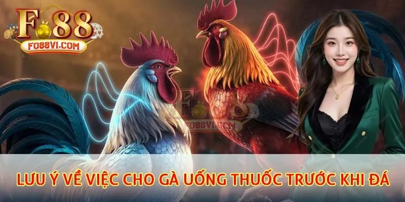 Lưu ý về việc cho gà uống thuốc trước khi đá